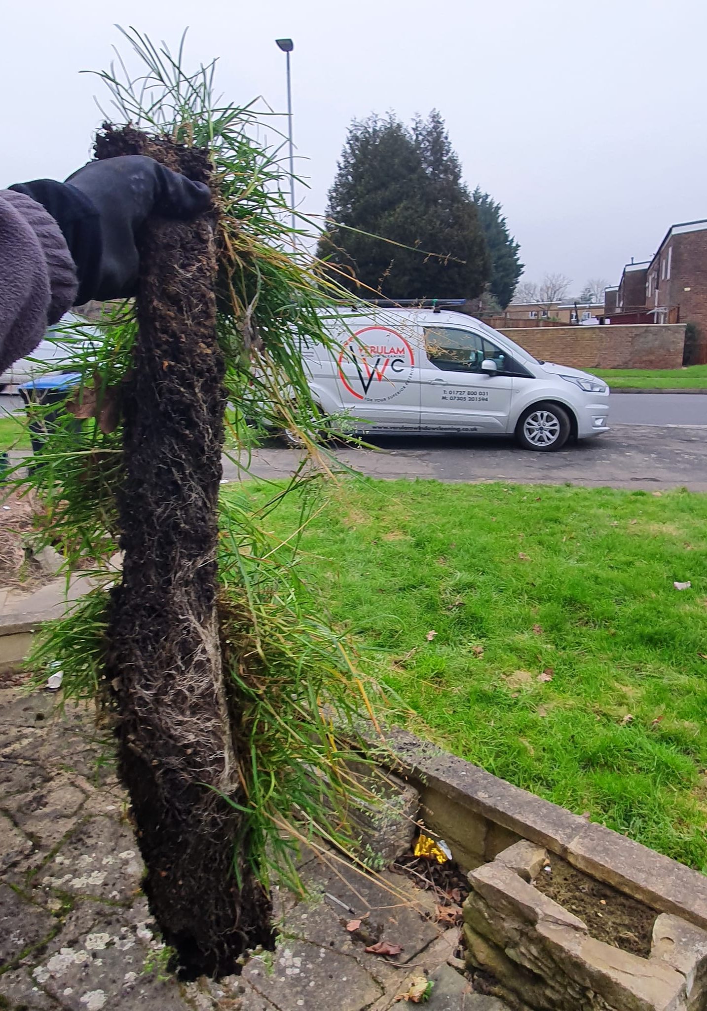 273016380_121652273720136_97877814877040434_n 273016380_121652273720136_97877814877040434_n